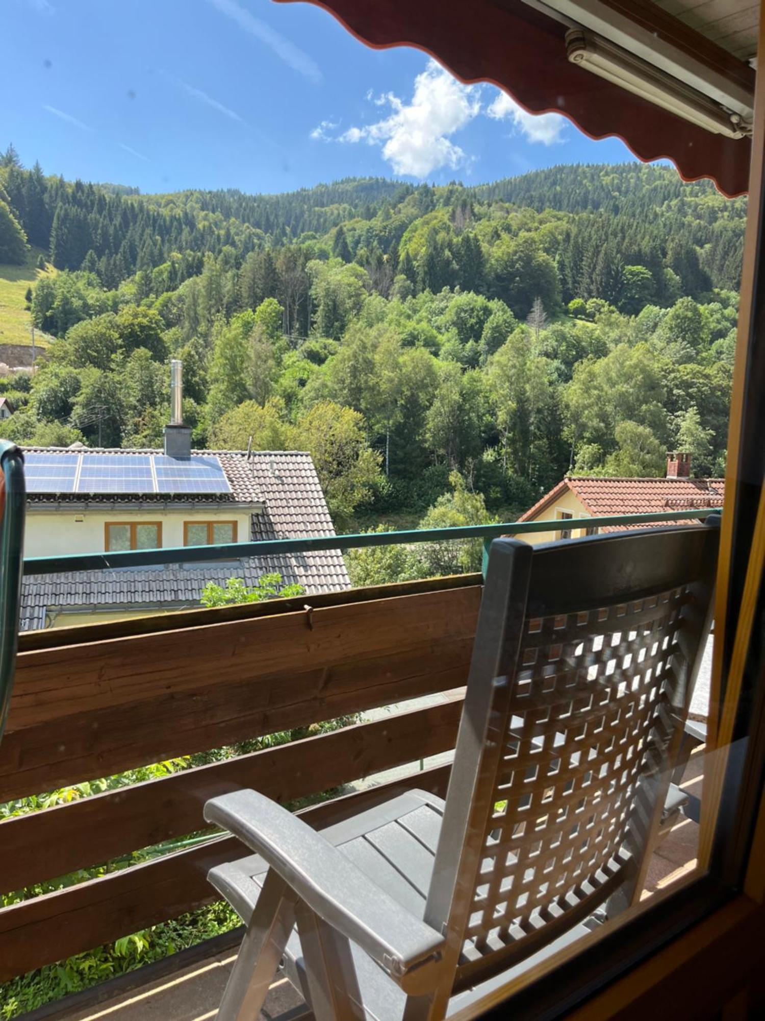 Steiert Panorama Apartments Todtnau Exteriör bild