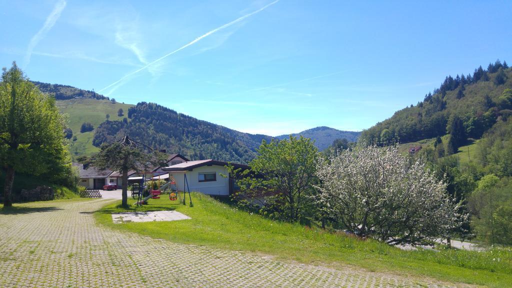 Steiert Panorama Apartments Todtnau Exteriör bild