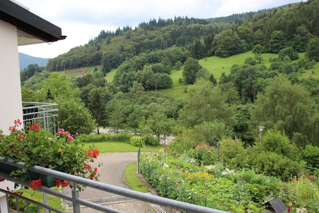 Steiert Panorama Apartments Todtnau Exteriör bild