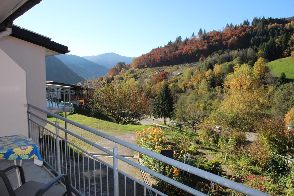 Steiert Panorama Apartments Todtnau Exteriör bild