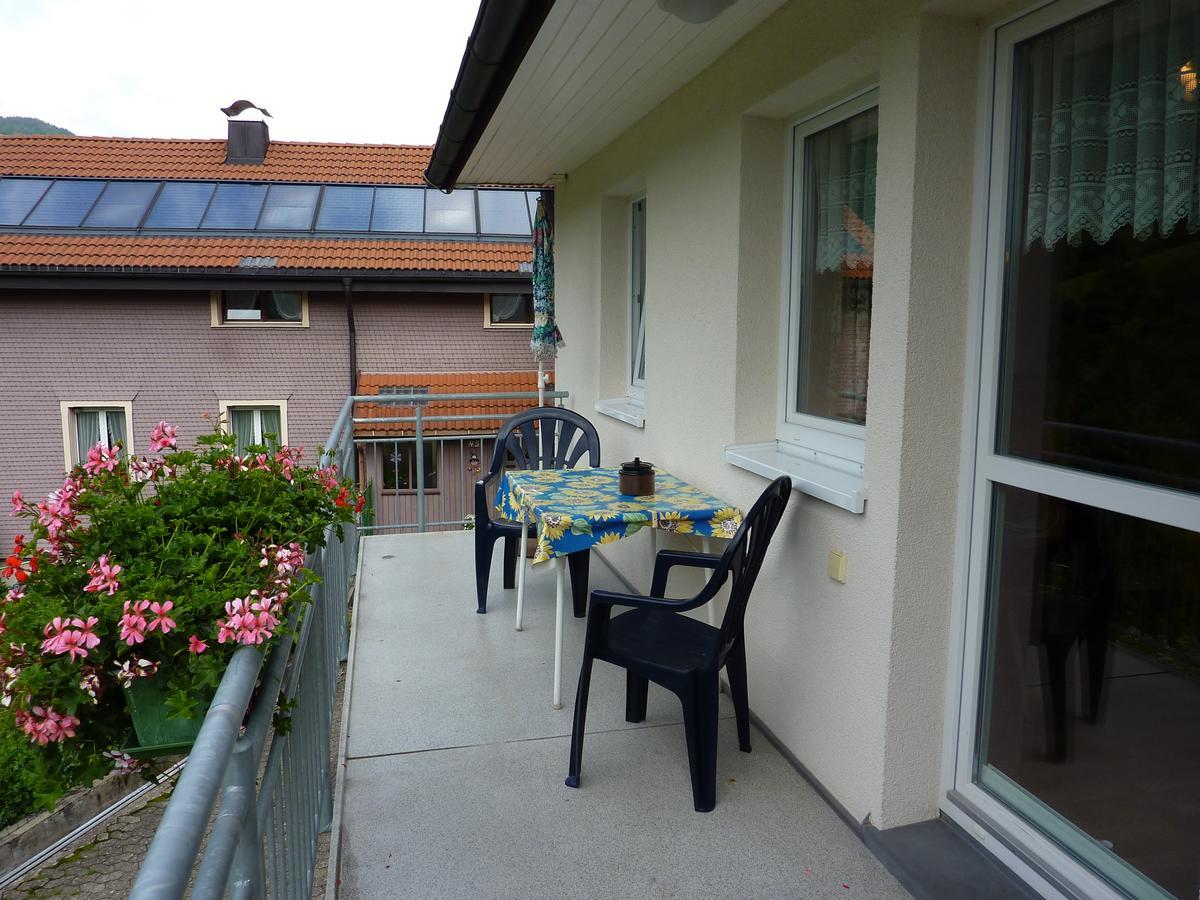 Steiert Panorama Apartments Todtnau Exteriör bild